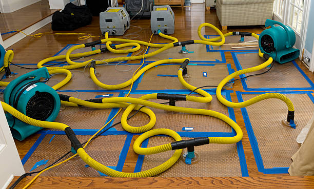 Professional Water Extraction technician working in Selma, OR